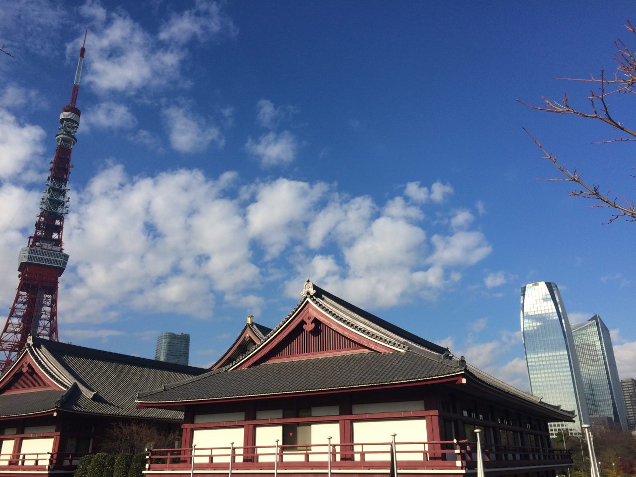 東京タワーと増上寺2の写真