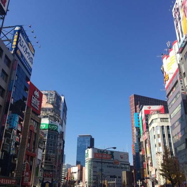 靖国通り沿いの新宿・歌舞伎町の雑居ビル街の写真