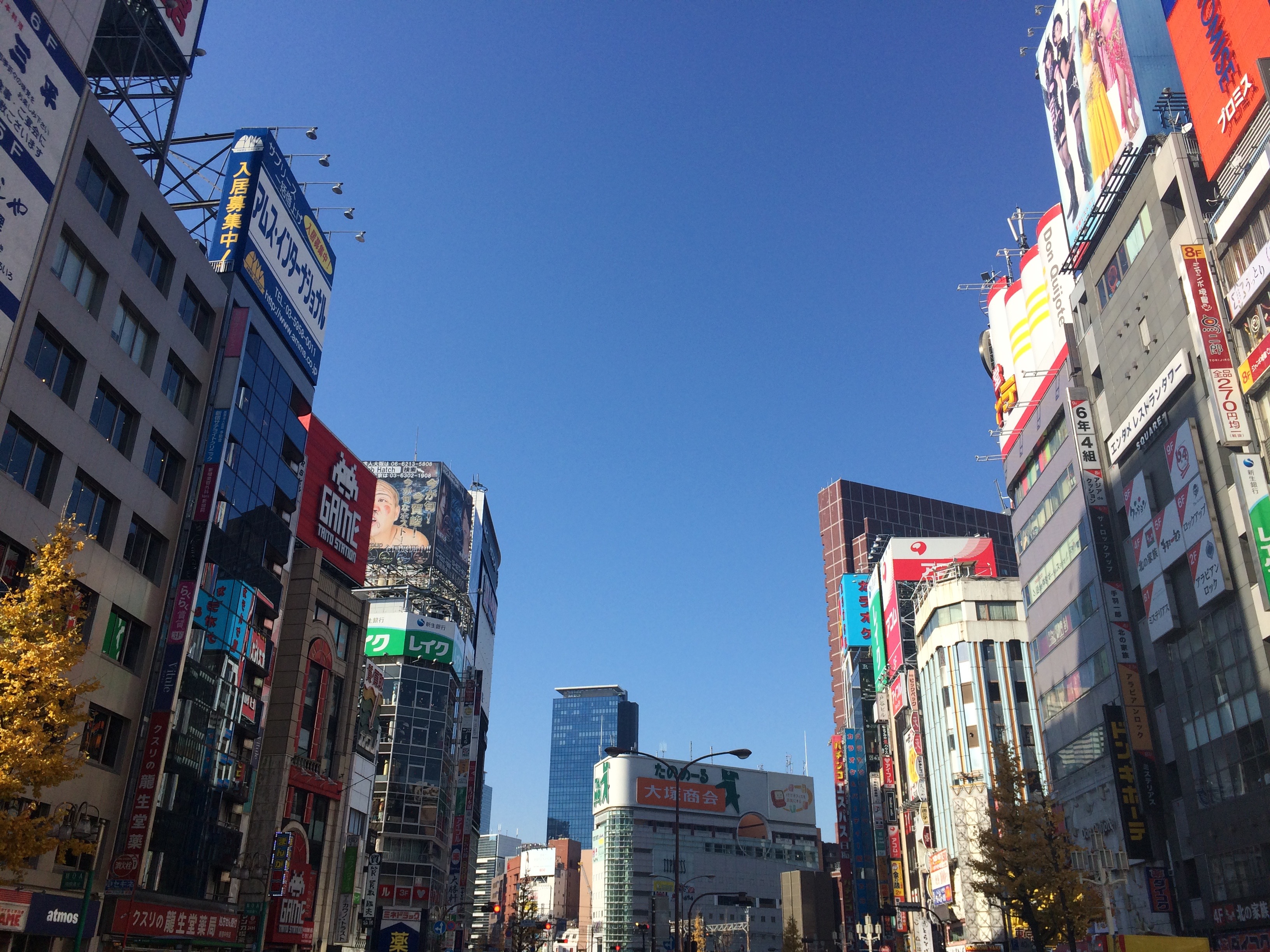 靖国通り沿いの新宿 歌舞伎町の雑居ビル街 の無料フリー素材写真 商用利用可