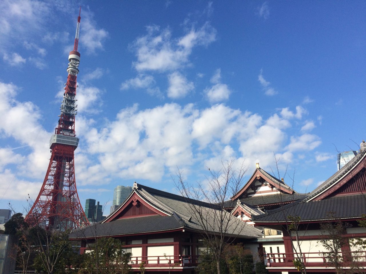 東京タワーと増上寺1の写真