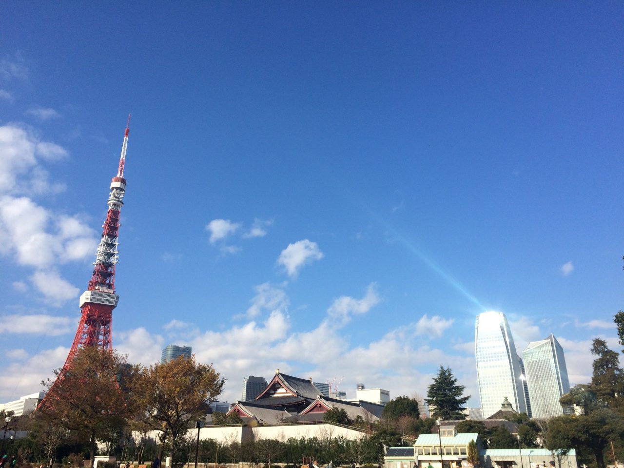芝公園から見た東京タワーと増上寺と高層ビルの写真