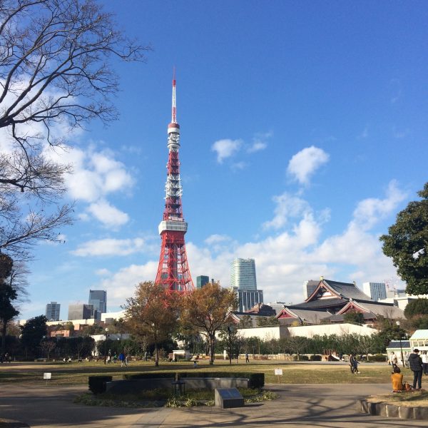 芝公園から見た東京タワーと増上寺の写真