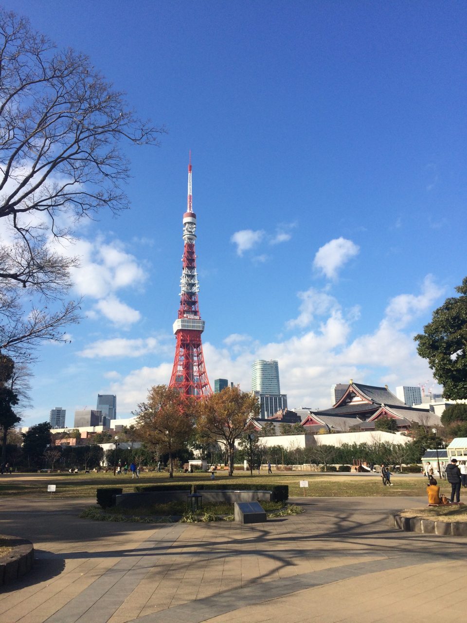 芝公園から見た東京タワーと増上寺の写真