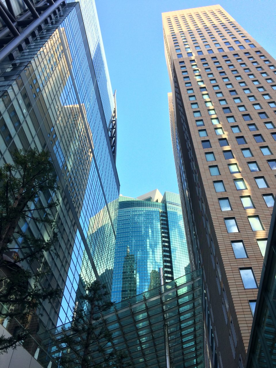 汐留の高層ビル街6の写真