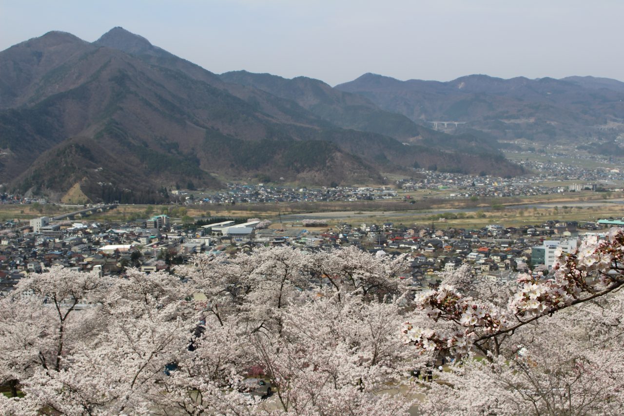 戸倉宿キティパークの桜と千曲市の街並みの写真