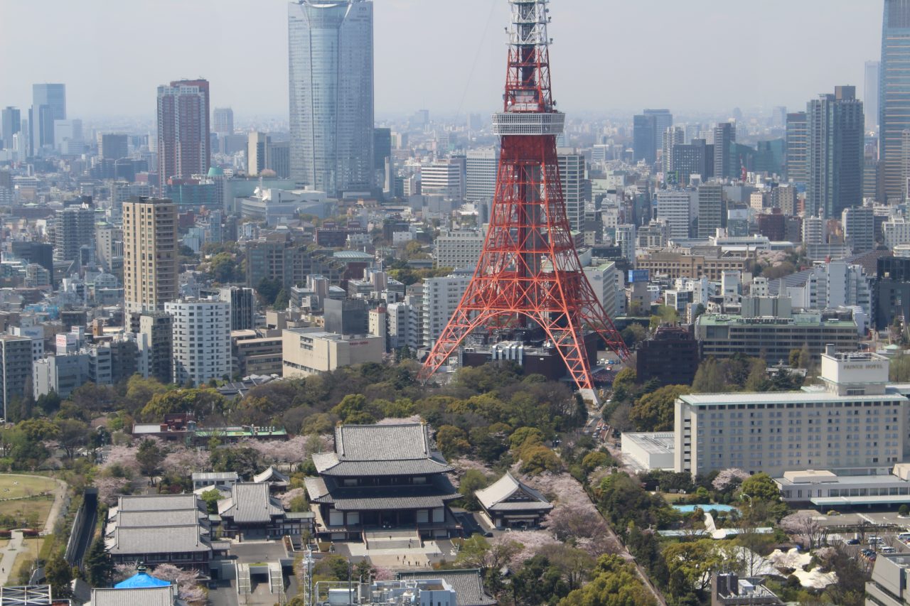 東京タワーと増上寺の写真