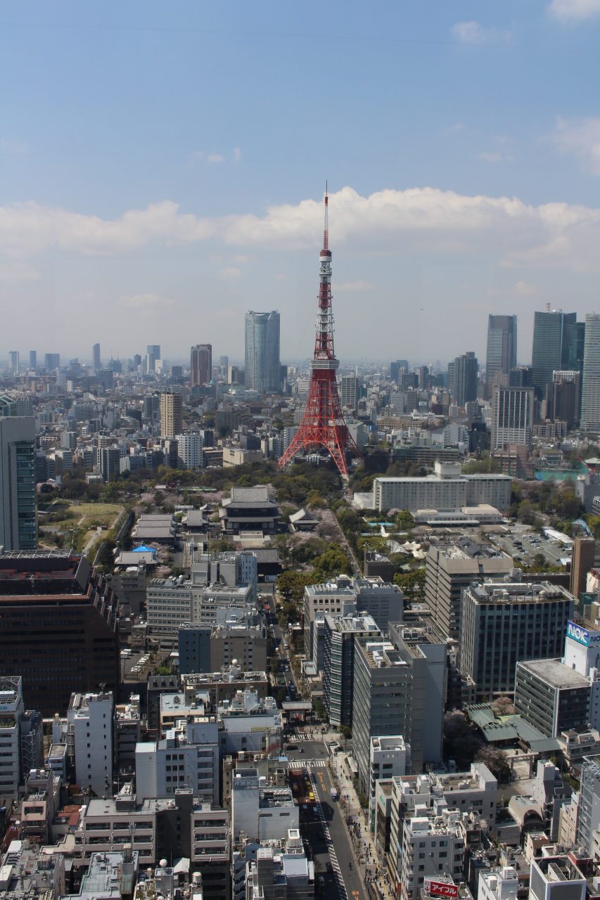 展望台から見た東京タワーと六本木の高層ビル街の写真