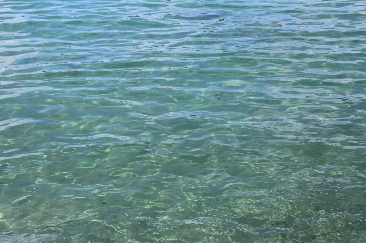 エメラルドブルーの屋久島の海の写真